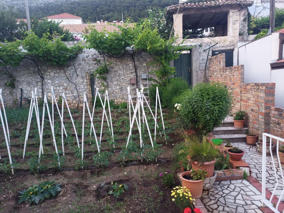 Apartamento Rina - Old Town *